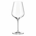 Elegantes Weinglas 450ml Transparent